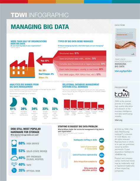 Infographic | Big Data Management | TDWI