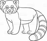 Red Panda Coloring Page Printable sketch template