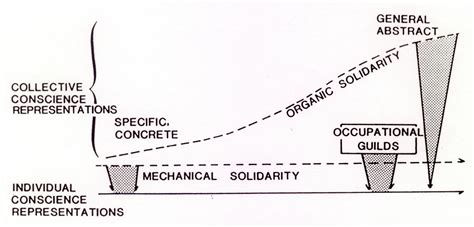 😂 Mechanical vs organic solidarity. Mechanical Solidarity: Definition ...