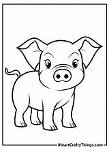 Angry Birds Pig Coloring Page sketch template