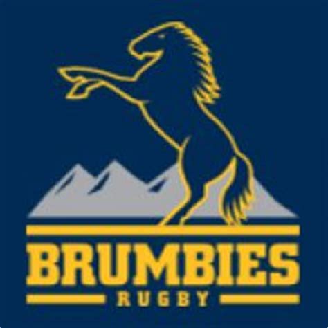 Brumbies Logos