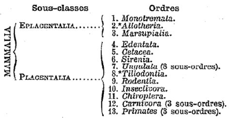 Les Mammifères : classification.