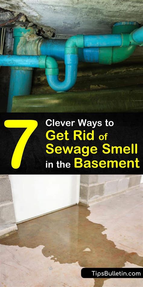 7 Clever Ways to Get Rid of Sewage Smell in the Basement