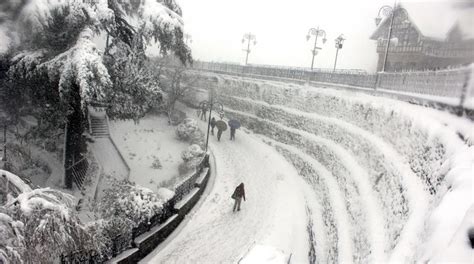 Heavy snowfall in Shimla, Manali; cold wave intensifies in Himachal ...