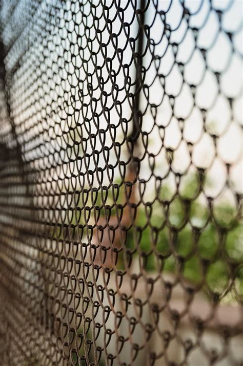 Steel wire mesh fence stock image. Image of enclose - 128370063