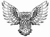 Owl Coloring Printable sketch template