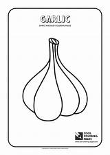Garlic Coloring Page sketch template