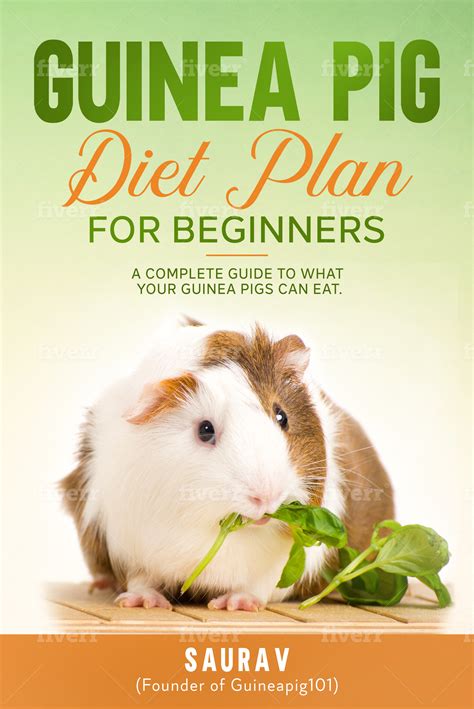 Guinea Pig Diet Plan For Beginners (Ebook) - Payhip