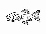 Trout Inspired Adult Coloring Art  Page sketch template