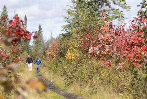 Autumn Hues and Brews in Saranac Lake | Saranac Lake, Adirondacks, New York