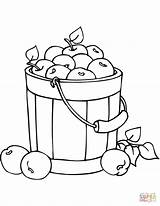 Apples In A Bucket coloring Page  Free Printable Coloring Pages sketch template