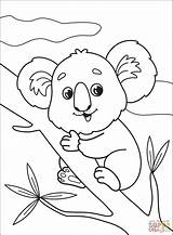 Koala Coloring Page  Free Printable Coloring Pages sketch template