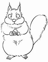 Cartoon Squirrel With Acorn coloring Page  Free Printable Coloring Pages sketch template