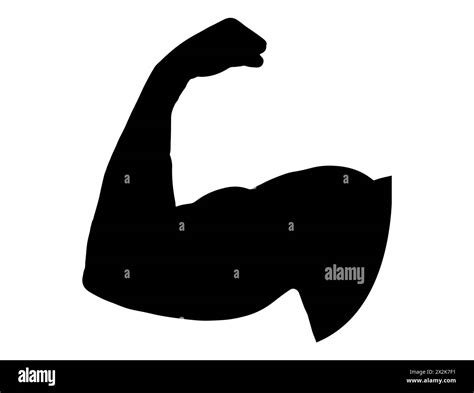 Muscle silhouette vector art Stock Vector Image & Art - Alamy