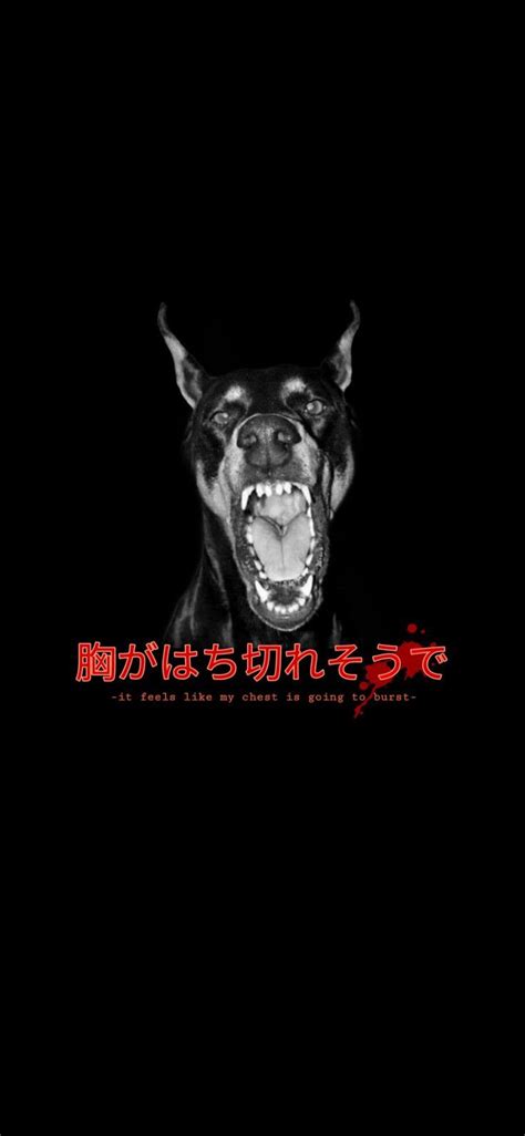 Doberman Wallpapers - 4k, HD Doberman Backgrounds on WallpaperBat