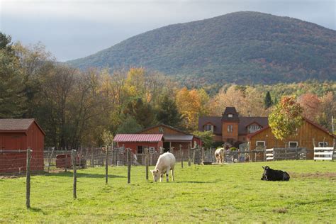 23-Acre Farm Sanctuary - A Haven for Animals and Humans Alike, $997,000 - Upstater