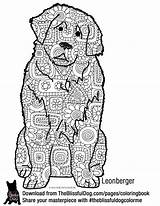 Newfoundland Coloring Pages Dog Colouring Drawing Dogs Super Quilt  sketch template