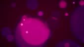 Pink Dark Abstract Background With Rose Bubbles Pop Up Stock Video - Download Video Clip Now ...