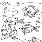 Design Aqua fish Outline coloring Page For Kid 11095606 Vector Art At  sketch template