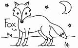 Coloring Pages Nocturnal Animals sketch template