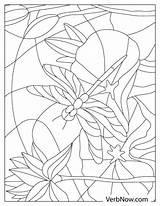 Free Coloring Pages And Books Download & Printable As PDF  VerbNow sketch template