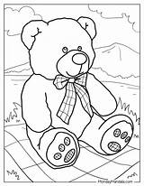 Teddy Bear Coloring Pages sketch template