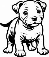 Free Printable Staffordshire Bull Terrier Puppy Coloring Page For Kids  sketch template