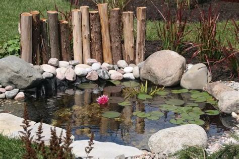 Top 10 Best Wildlife Pond Edging Ideas - Gardenia Organic