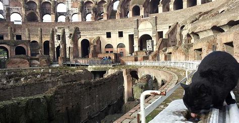 How to tour the Colosseum: visit on your own or on a guided tour (Part 1)