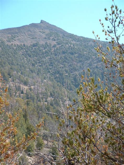 Jarbidge Mountains