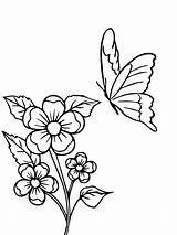 Three Butterflies And Daffodil Flower Coloring Page  Free Printable sketch template