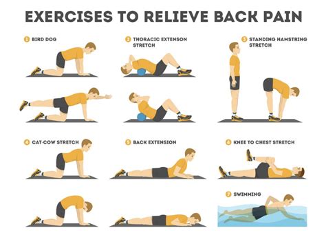 Lower back pain? Here are few exercises that can help - Kay Spears