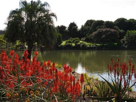 Auckland Botanic Gardens Map