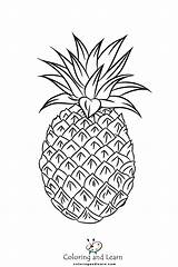 Pineapple Coloring Pages FREE 2025  And Learn sketch template