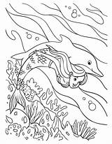 Mermaid And Dolphin Coloring Page For Kids 20119283 Vector Art At Vecteezy sketch template