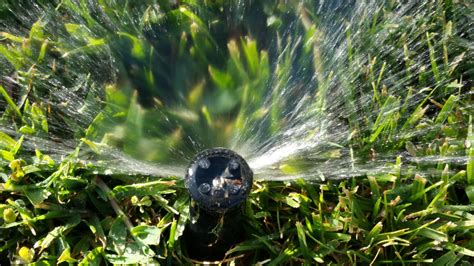 Sprinkler Free Stock Photo - Public Domain Pictures