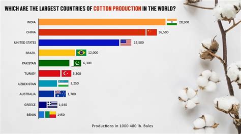 Cotton Production in India - Process & Benefits of Cotton Farming!