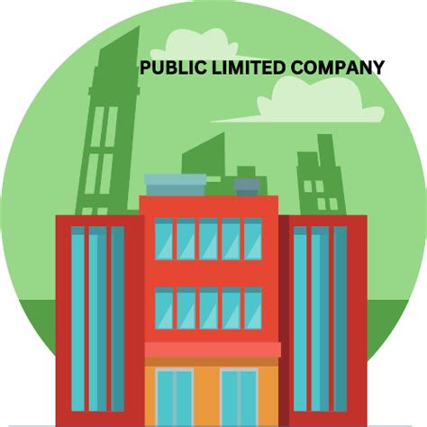 Public Limited Companies: Meaning, Requirements & Advantages | Finschool