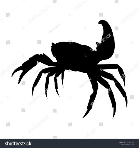 Crab Silhouette Vector Animal Black White Stock Vector (Royalty Free ...