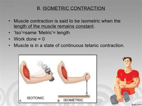 Types of muscle contraction ushnish