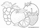 free fruit coloring Pages Book For Download printable Pdf Verbnow  sketch template
