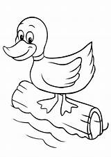 Free & Easy To Print Duck Coloring Pages  Tulamama sketch template