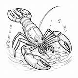 Vector Of lobster Illustration coloring Page For Kids  Premium AI sketch template