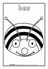 Minibeast Colouring Sheets SB2278  SparkleBox sketch template