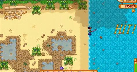 Stardew Valley Legendary Fish Guide - When And Where To Catch Them