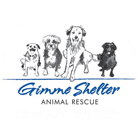 19+ Elmira Animal Shelter - AbudulBrighde