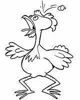 Coloring Pages Chickens  Home sketch template