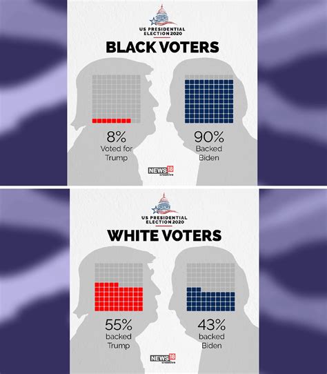 How people voted in 2020 by race : r/Infographics