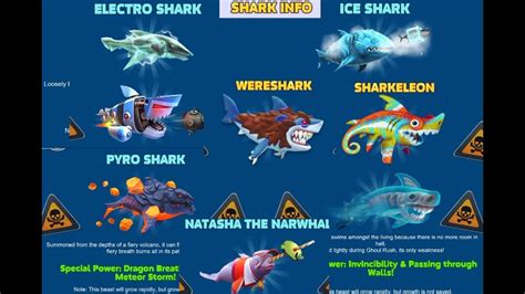 ALL SHARKS INFO ! (UNLOCKED) - Hungry Shark Evolution - YouTube