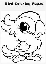 Coloring Pages Of A Parrot sketch template